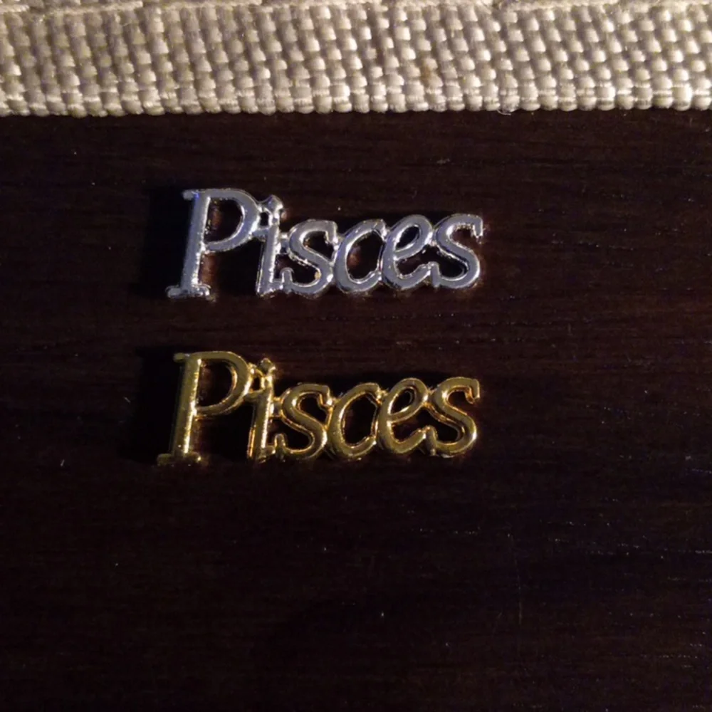 NEW PISCES ZODIAC GOLD  &  SILVER TONE 3D METAL NAIL CHARMS (2PCS)